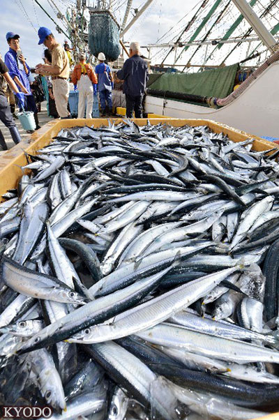 日媒：中国捕鱼效率更高 日本欲限制秋刀鱼公海捕捞未果