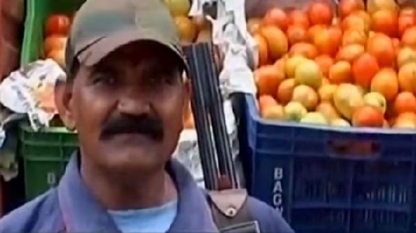 西红柿价格飙升 印度一菜市场派武装警卫守护防窃贼