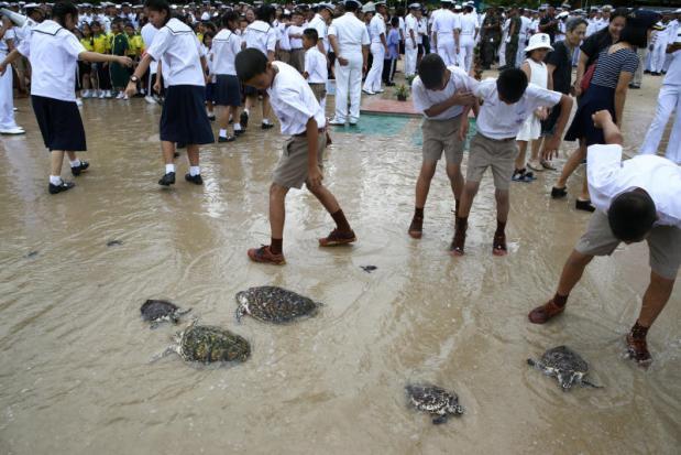 泰国民众放生1066只海龟 为国王庆祝65岁寿辰
