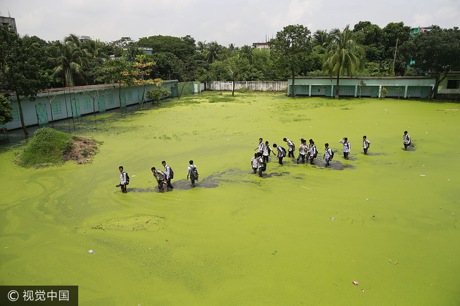 洪水泛滥街头漂绿藻 孟加拉国学生“绿池”中穿行回家