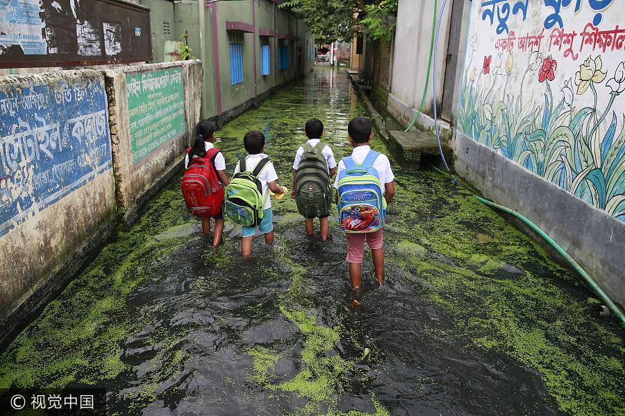 洪水泛滥街头漂绿藻 孟加拉国学生“绿池”中穿行回家