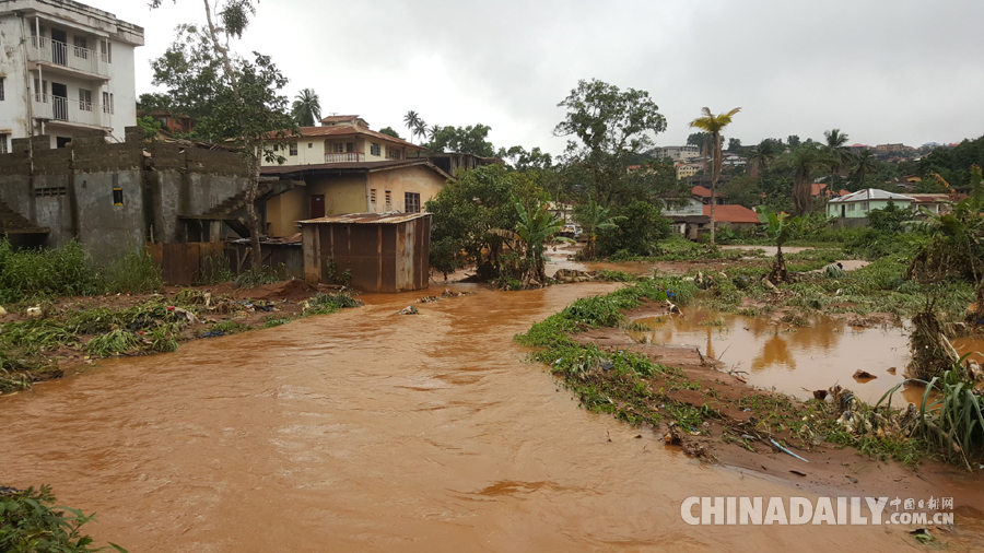 塞拉利昂首都遭遇洪水和泥石流 遇难人数升至300余人