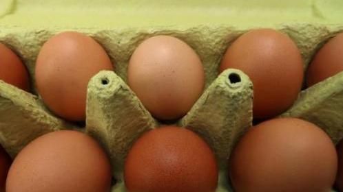 欧洲“毒鸡蛋”蔓延农户损失惨重