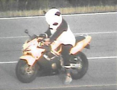 美国摩托车主穿熊猫装上路被罚 还伴有这些危险动作