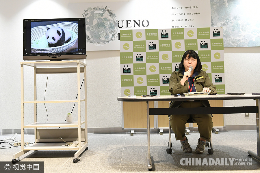 日本上野动物园熊猫宝宝迎来百天纪念日 名字近期公布