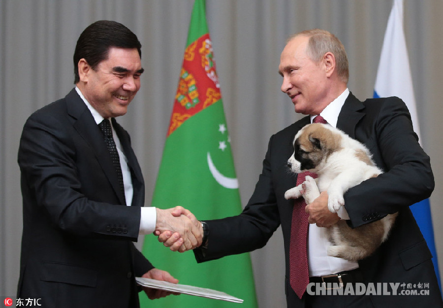 土库曼斯坦总统访俄 向普京赠送一只幼犬