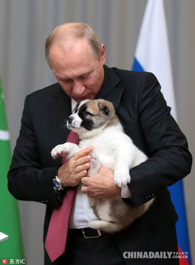 土库曼斯坦总统访俄 向普京赠送一只幼犬