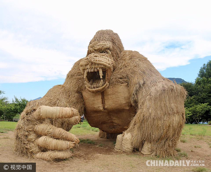 日本瓦拉艺术节10周年 “稻田艺术”令人惊叹