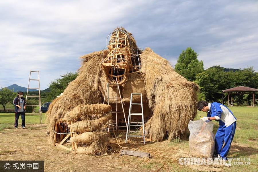 日本瓦拉艺术节10周年 “稻田艺术”令人惊叹