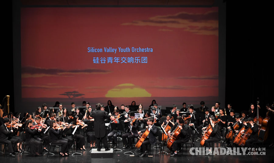 关爱中国留守儿童 “让爱留守”慈善音乐会在美举行