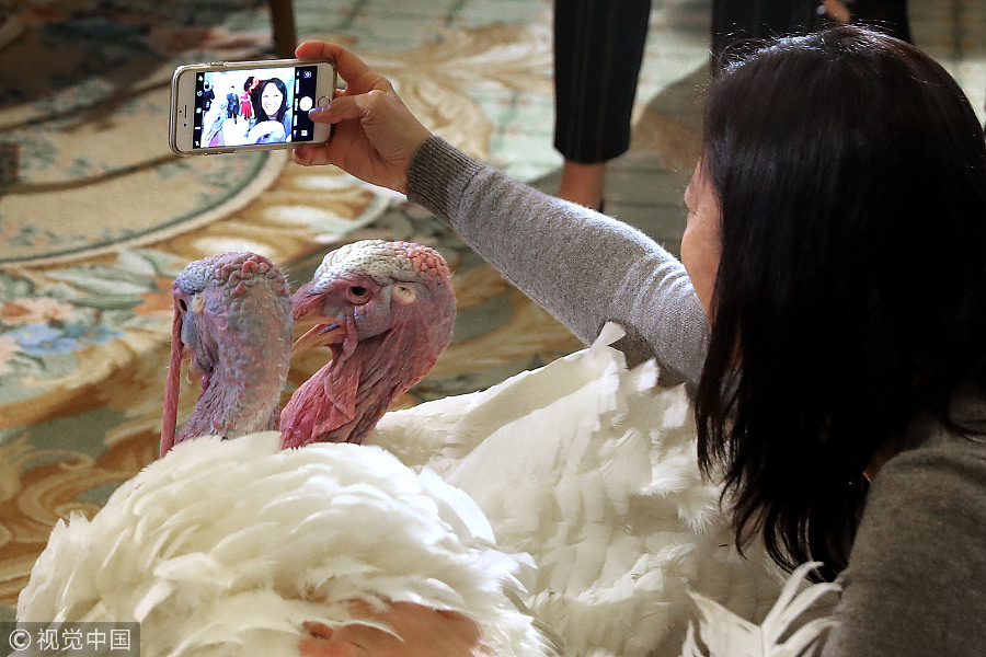 特朗普将“赦免”感恩节火鸡提前亮相 媒体争相拍照