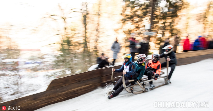 德国牛角雪橇大赛 雪中竞速点燃冬日激情