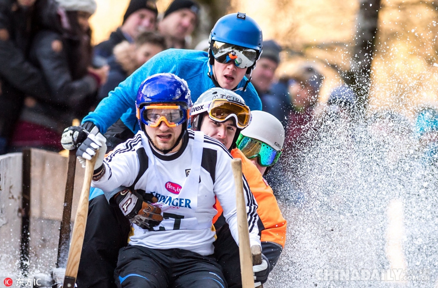 德国牛角雪橇大赛 雪中竞速点燃冬日激情