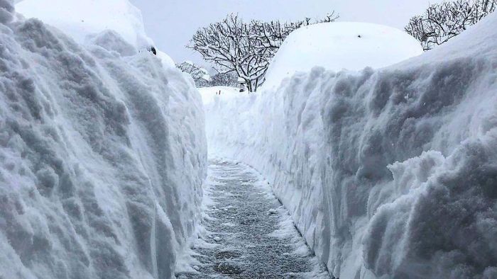 组图：打破百年低温纪录 北美人民在暴风雪里快扛不住了！
