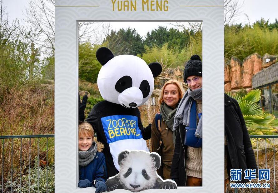 大熊猫宝宝“圆梦”正式与法国公众见面
