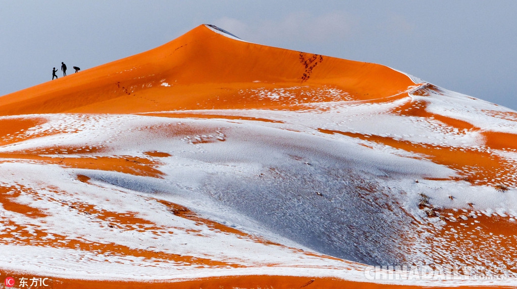 “全球最热”的撒哈拉沙漠下雪了