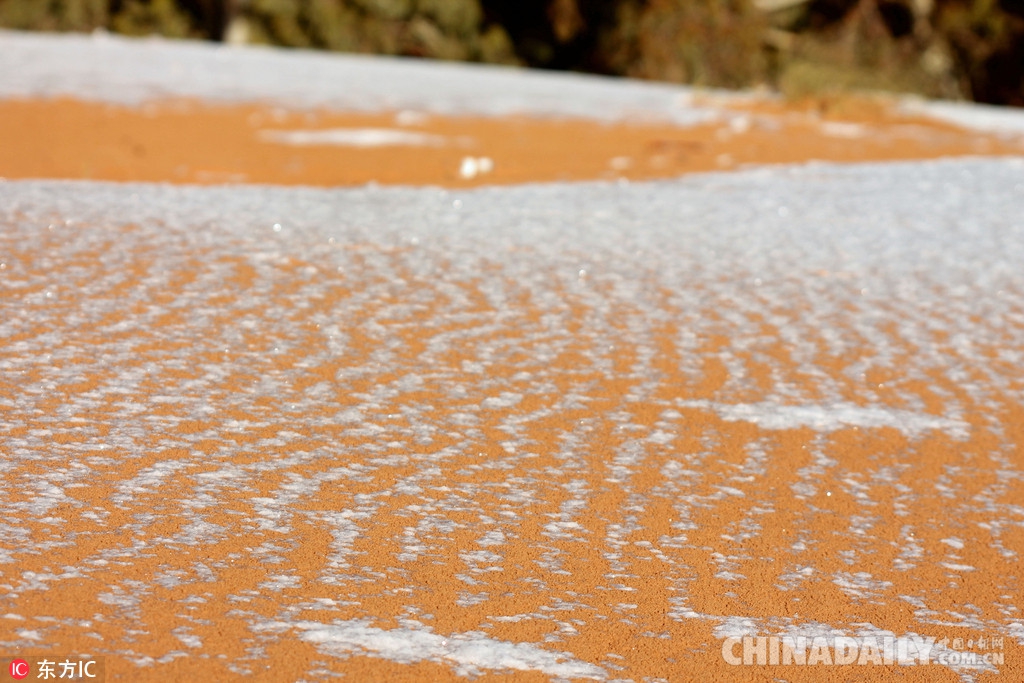 “全球最热”的撒哈拉沙漠下雪了