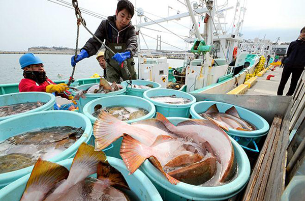 核事故发生七年后 日本福岛县鱼货首次销往国外