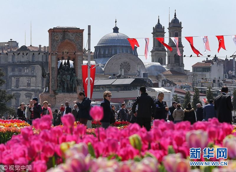 组图：土耳其迎来第13届郁金香节 塔克西姆广场花香满地