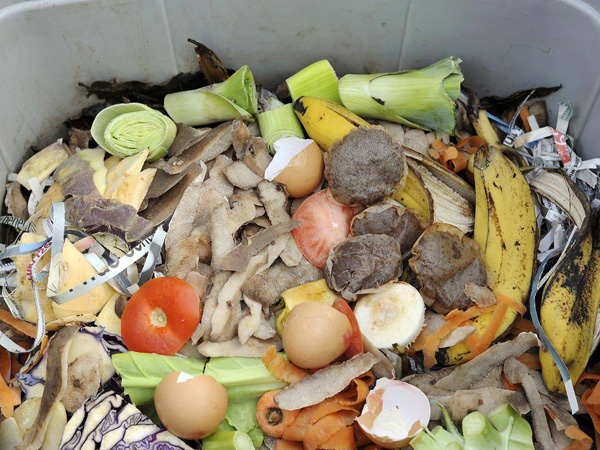 触目惊心！美国家庭每天总共扔掉15万吨食品垃圾