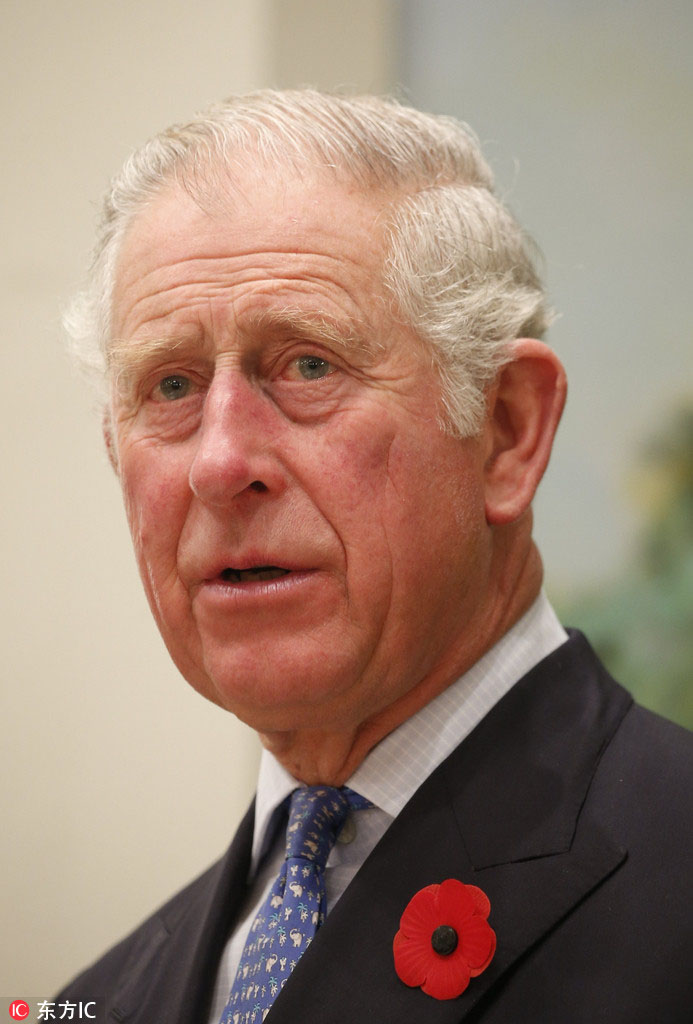 查尔斯王子被批准接任下一任英联邦元首
