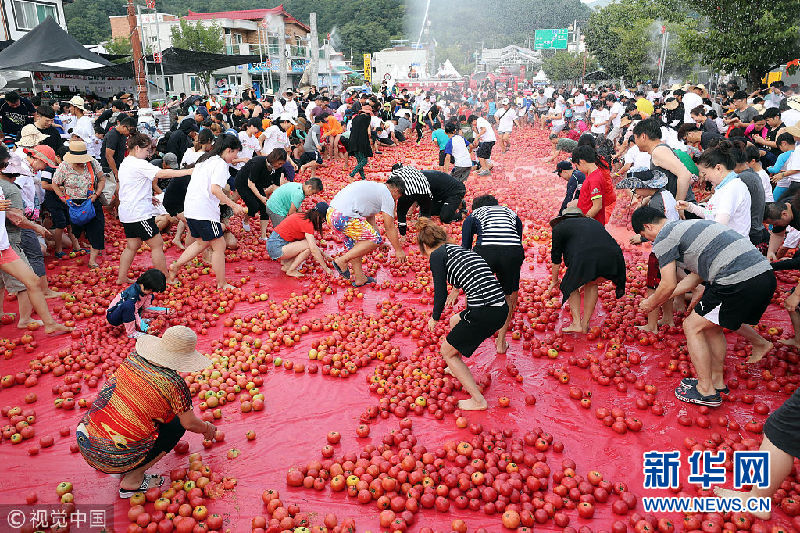 韩国华川西红柿节开幕（组图）
