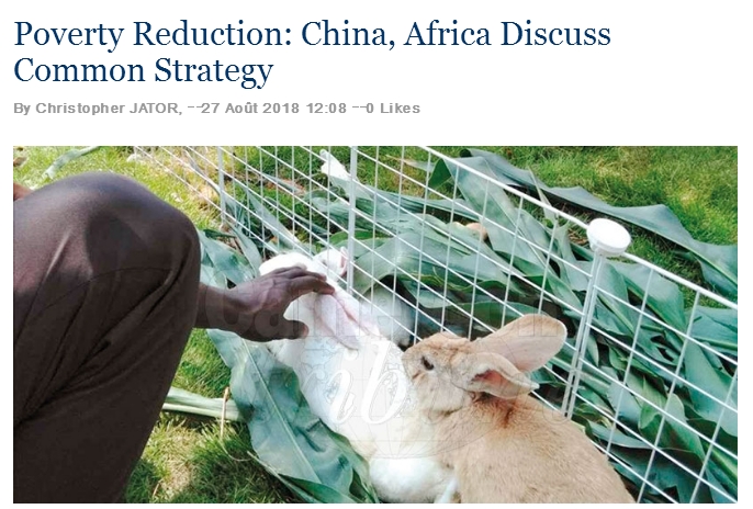非媒：中非将加强减贫合作 中国经验启迪非洲