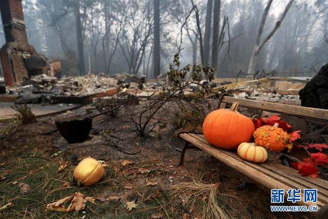 美国加州北部山火遇难人数升至56人