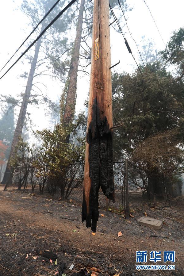 美国加州北部山火遇难人数升至56人