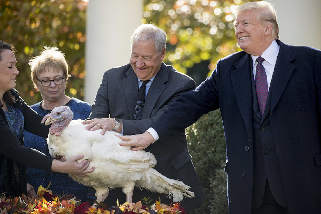 特朗普去年赦免的火鸡如今咋样了？媒体：早就死了