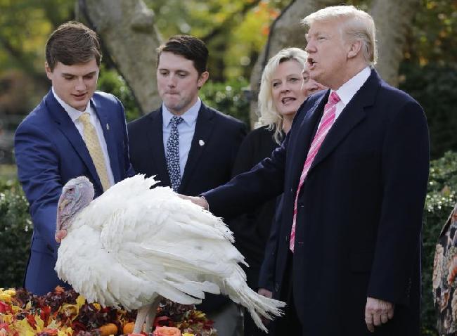 特朗普去年赦免的火鸡如今咋样了？媒体：早就死了