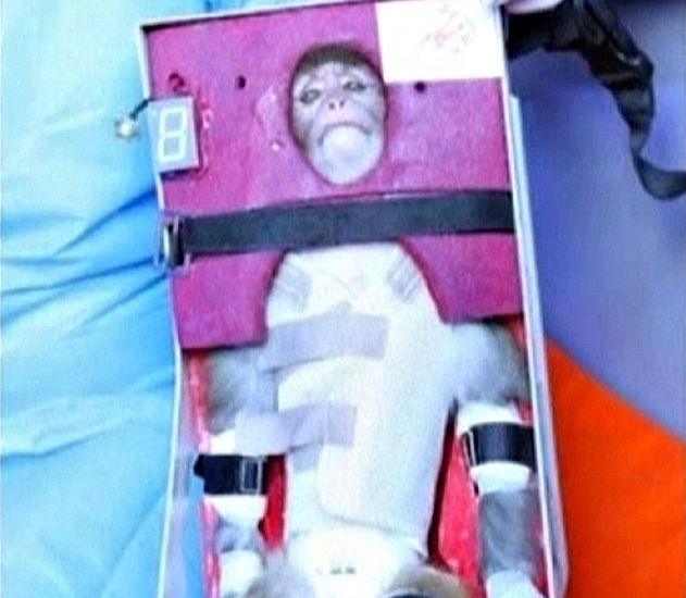 内贾德愿做伊朗太空第一人 麦凯恩推特讽其为“太空猴”
