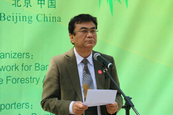 国际竹藤组织举行世界地球日植竹活动