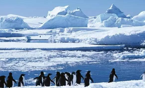 南极洲海域冰层面积达38年来最低水平
