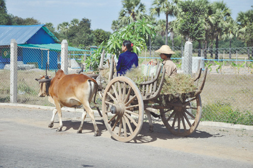 石油地理之缅甸：走在“夏天” 寻找“慢得乐”