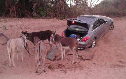 南非走私犯用驴跨境运送被盗豪车 结果“栽”进了沙地