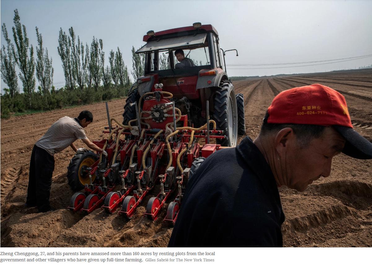 【中国那些事儿】外媒关注中国农村之变：致富路上守住“乡愁”