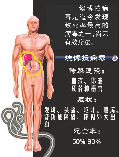 西非埃博拉蔓延快 航空“禁飞”防疫情