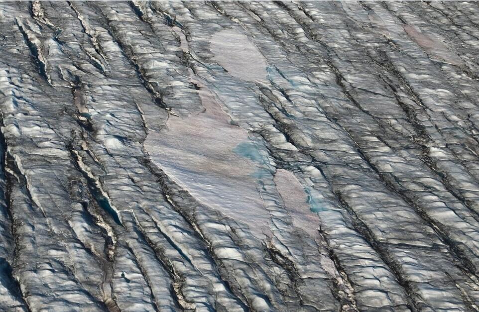 森林大火致格陵兰岛冰川白雪变“黑雪”(高清组图)