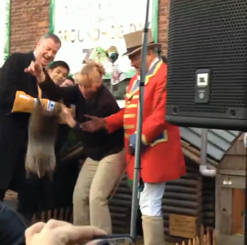 纽约市长因不慎摔死土拨鼠 收买动物园遭指责