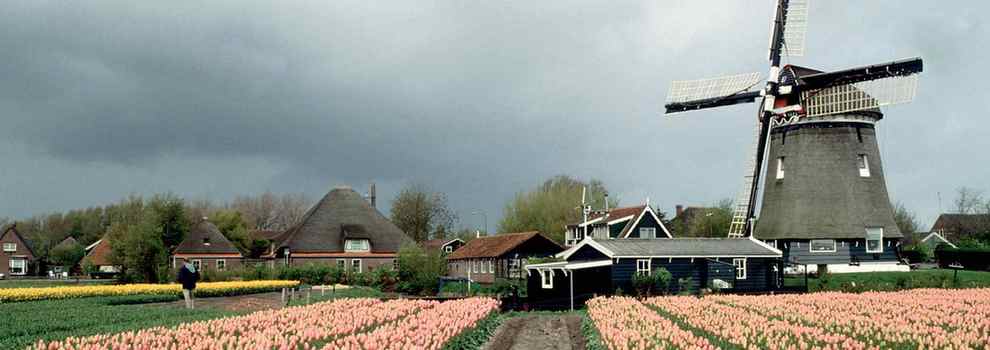春天最美花园就在荷兰库肯霍夫
