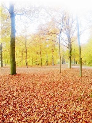 走进德国秋天的童话 梦幻美景让人难以忘怀