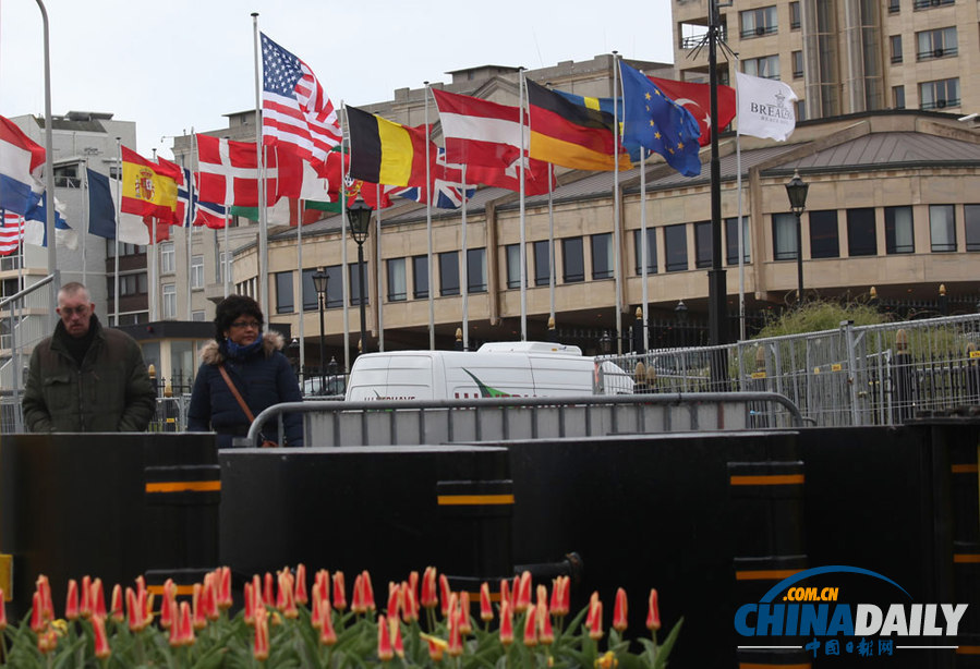 2014核安全峰会将在荷兰海牙举行 安保工作准备就绪