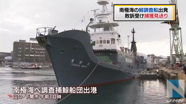 日本科研捕鲸船出港赴南极海域 不实施捕鲸行动
