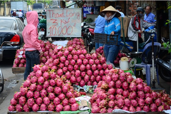 越南火龙果在胡志明市价格大跌滞销 中国水果畅销
