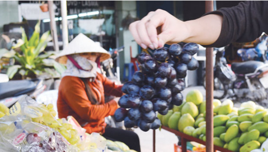 越南火龙果在胡志明市价格大跌滞销 中国水果畅销