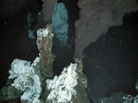 南极深海发现“失落的世界” 20余新物种聚集火山口附近