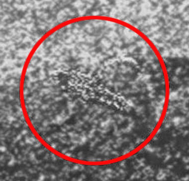 俄天文学家称金星上有生命 30年前图片显示有蝎状活物