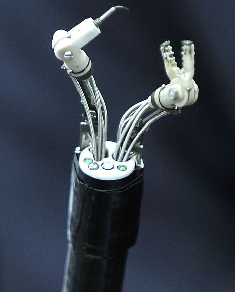 微型“蟹钳”机器人问世 能深入腹腔进行胃癌切除手术