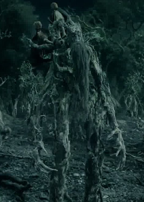 英国惊现“鬼怪树” 酷似《指环王》树人形象